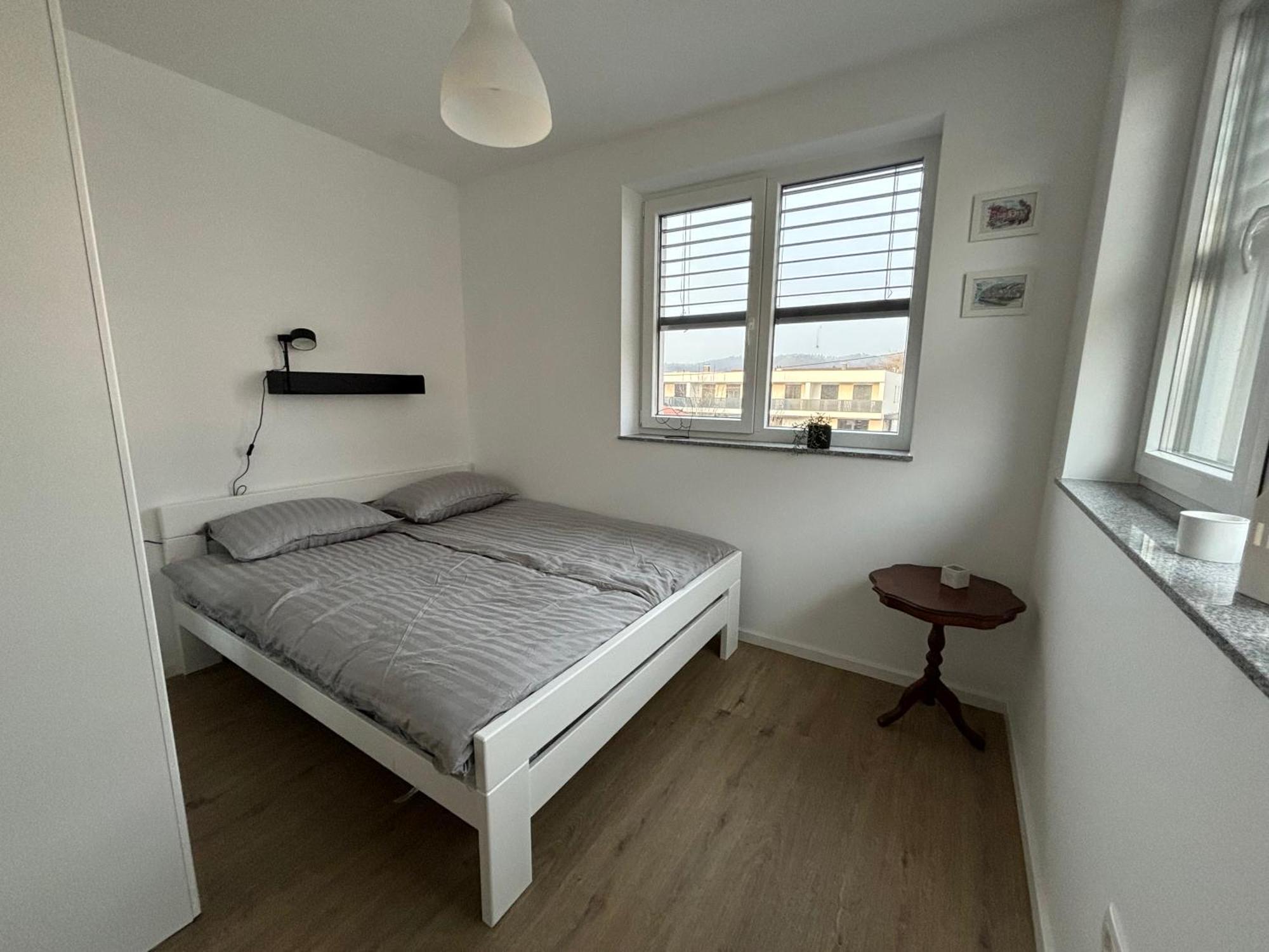 Apartmaji Cepon 卢布尔雅那 外观 照片